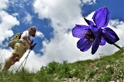 67 Aquilegia di Einsele (Aquilegia einseleana)